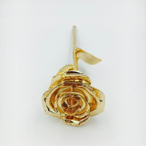 24K Gold Plated Preserved Rose Gift for Wedding & Birthday