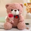 25cm Teddy Bear Plush Toy Cute Hug Bouquet Gift