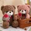 25cm Teddy Bear Plush Toy Cute Hug Bouquet Gift
