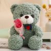 25cm Teddy Bear Plush Toy Cute Hug Bouquet Gift