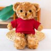 30cm Sweater Teddy Bear Plush