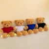 30cm Sweater Teddy Bear Plush