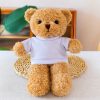 30cm Sweater Teddy Bear Plush