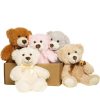 5pcs Plush Bear Toys Soft Stuffed Animals Gift Set
