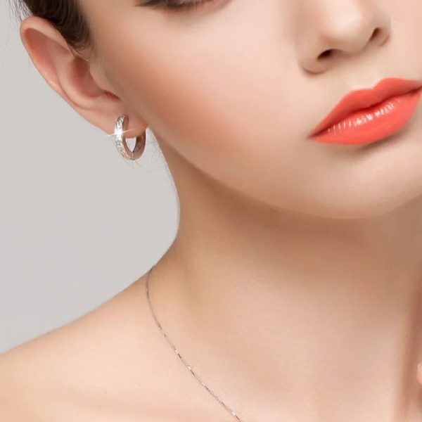 925 Sterling Silver Round Zircon Stud Earrings