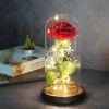 Acrylic Dome Eternal Rose Beauty Gift for Valentine