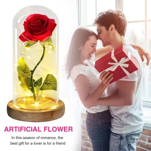 Acrylic Dome Eternal Rose Beauty Gift for Valentine