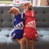 Adidog Hoodie