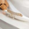 Adjustable Dog Chain Collar with Zircon