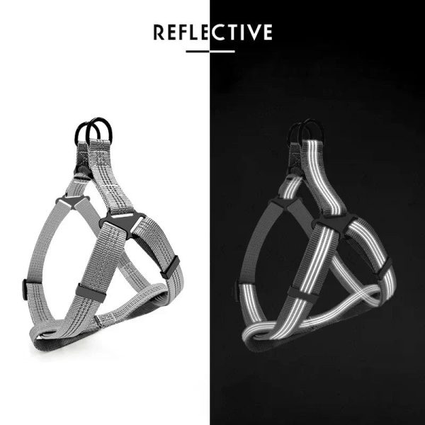 Adjustable Reflective Y-Harness Leash for Dogs