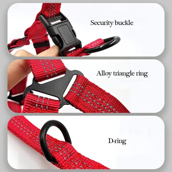Adjustable Reflective Y-Harness Leash for Dogs