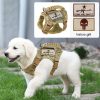 Adjustable Tactical Vest for Small Dogs