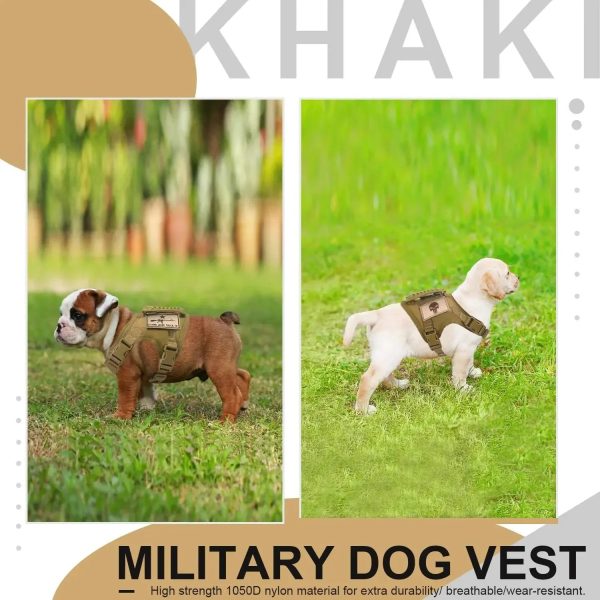 Adjustable Tactical Vest for Small Dogs