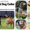 AirTag Dog Collar with Handle, Tactical Dog Collar for Large Medium Dogs