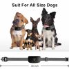 Anti Bark Collars for Small Dogs