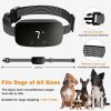 Anti Bark Collars for Small Dogs
