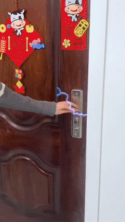 Anti-Static Bracelet
