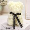 Artificial Rose Teddy Bear 25cm Romantic Floral Gift with Gift Box