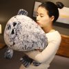 Authentic Kaiyukan Seal Plush