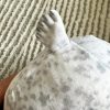 Authentic Kaiyukan Seal Plush