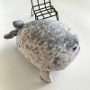 Authentic Kaiyukan Seal Plush