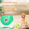 Automatic Tennis Launcher for Dogs