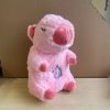 Baby Bear Soothes Otter Plush Toy - Musical Sleep Companion for Kids