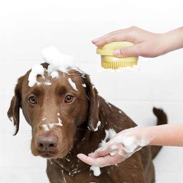 Bathroom Brush for Dog
