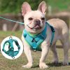 Best Adjustable Dog Harness and Leash