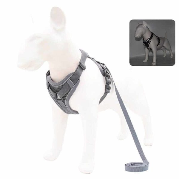 Best Adjustable Dog Harness and Leash
