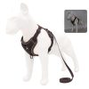 Best Adjustable Dog Harness and Leash