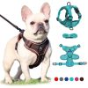 Best Adjustable Dog Harness and Leash