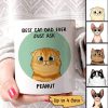 Best Cat Mom Cat Dad Ever Just Ask Fluffy Cats Personalized Mug