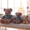 Big Teddy Bear Plush Soft Toy