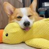 Bite-Resistant Plush Duck Toy for Dogs - Teething & Sleep Aid