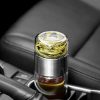 Borosilicate Tea Infuser Bottle
