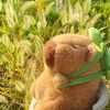 Capybara Bunny Huggable Doll Plushie