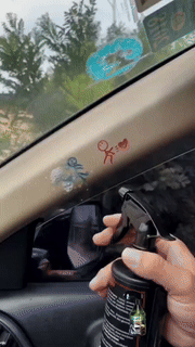 Car Multi-Purpose Interior Cleaning Agent