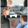 Car Waterproof Seat Cover for Dogs