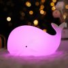Cartoon Whale Lamp
