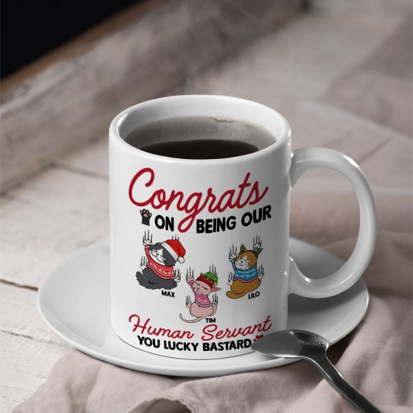 Cats, Our Human Servant, Personalized Mug, Christmas Gifts For Cat Lovers, EEA