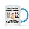 Christmas Fluffy Funny Cats Expressions Merry Christmas Human Servant Personalized Mug