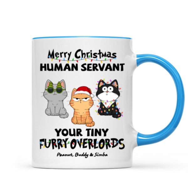 Christmas Fluffy Funny Cats Expressions Merry Christmas Human Servant Personalized Mug