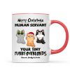Christmas Fluffy Funny Cats Expressions Merry Christmas Human Servant Personalized Mug