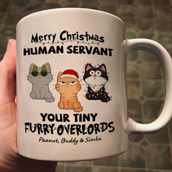 Christmas Fluffy Funny Cats Expressions Merry Christmas Human Servant Personalized Mug