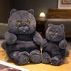 Chubby Black Cat Plush Stuffed Toy Soft Decorative Pillow