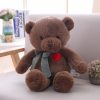 Classic Teddy Bear Plush with Heart 35cm or 50cm