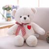 Classic Teddy Bear Plush with Heart 35cm or 50cm
