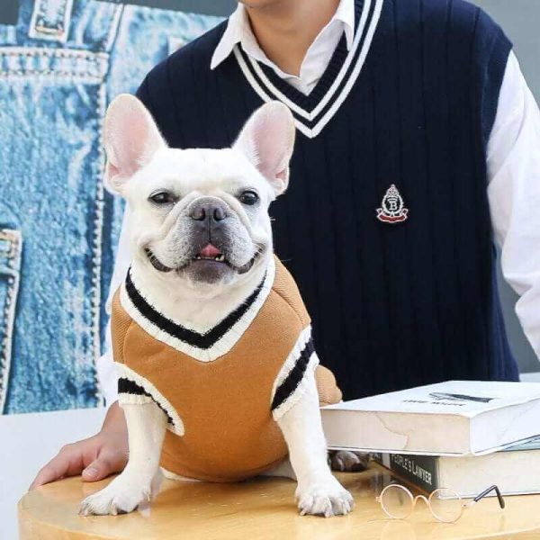 College V-neck Sweater for Dogs