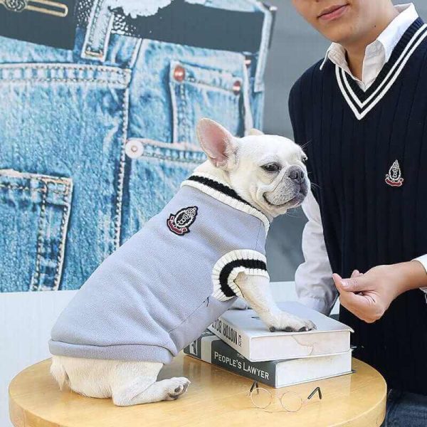 College V-neck Sweater for Dogs